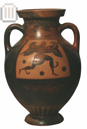 Black-figure amphora