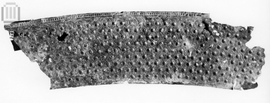 Shield axntyx