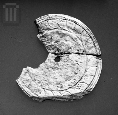 Τμήμα οστέϊνου δισκαρίου.