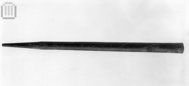 Σαυρωτήρας δόρατος