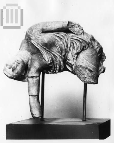 Wounded Amazon