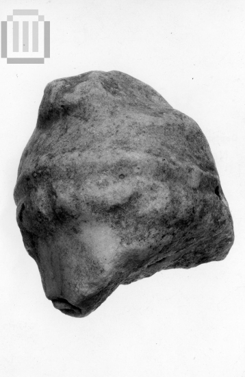Part of the head of an Amazon Pediment statue