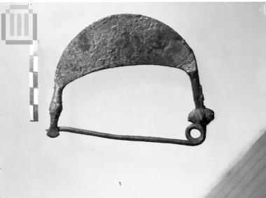 Fibula
