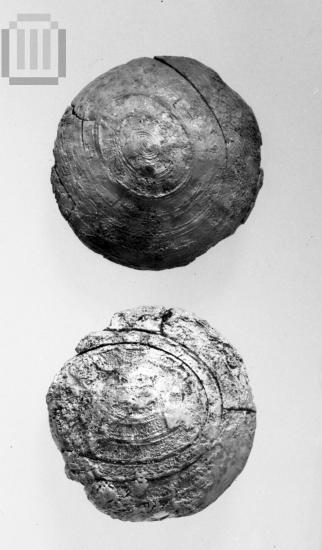 Ivory  sword pommel.