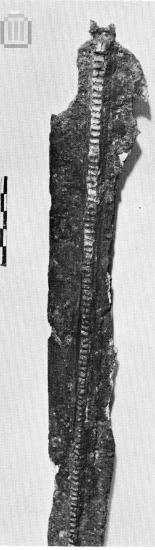 Χάλκινο ξίφος τύπου Α