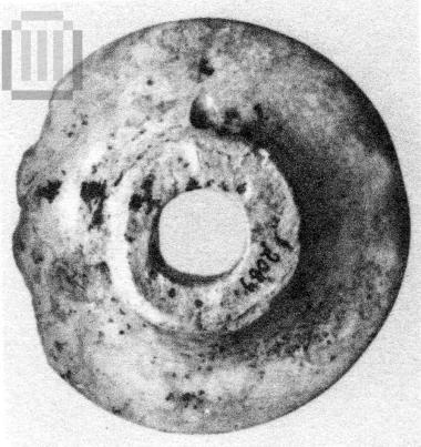 Eλεφάντινο πώμα.