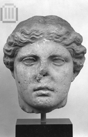 Head of Hera, of supernatural size statue.