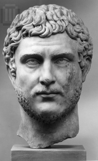 Portrait head  of bearded kosmete.