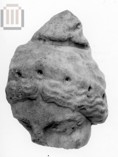 Κεφαλή Αμαζόνας με διάδημα και φρυγικό σκούφο.