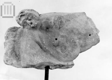 Κεφαλή αλόγου από εναέτιο γλυπτό ναού Ασκληπιού.Επίδαυρο.