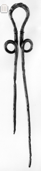 Double Illyrian-type pin