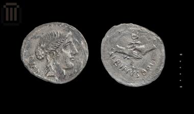 Δηνάριο Albinus Bruti f.