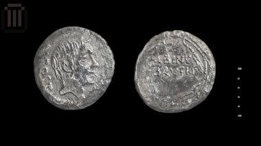 Denarius Albinus Bruti f.