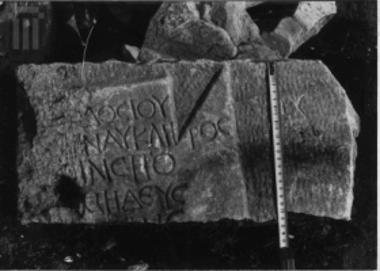 Τμήμα σαρκοφάγου