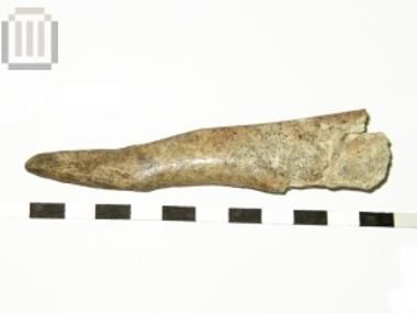 Εργαλείο από κέρατο ελαφιού  (σμίλη;)