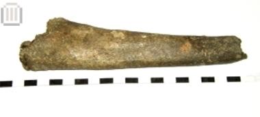 Σπάτουλα από κέρατο ελαφιού