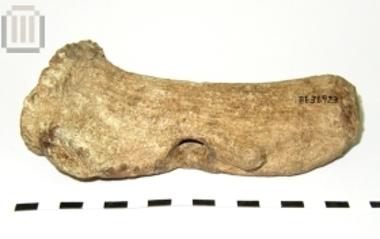 Στειλεός εργαλείου από κέρατο ελαφιού