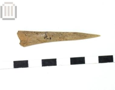 Τμήμα οστέινου οπέα