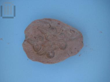 Lamp mould