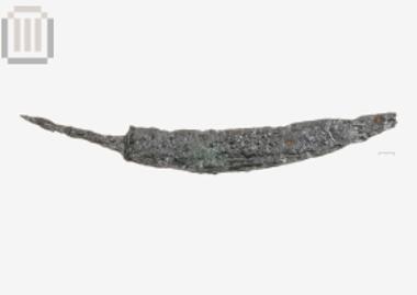 Σιδερένιο εγχειρίδιο από την Ελέα