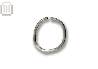 Αργυρός δακτύλιος