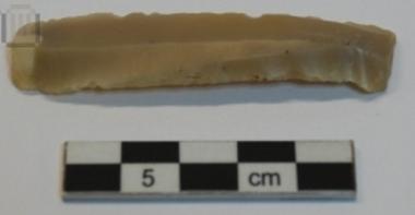 Fragment of a cert blade