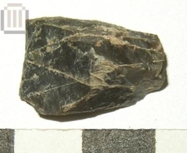 Πυρήνας πυριτόλιθου