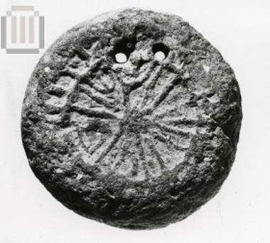 Αρτόσχημη αγνύθα