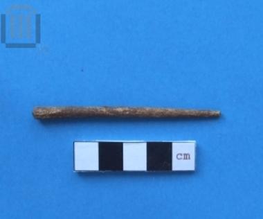 Τμήμα περόνης