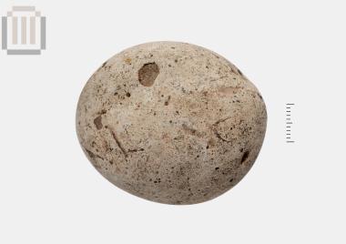 Λίθινο βόλι (βλήμα) από την Ελέα