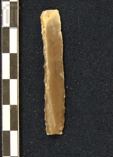 Μικρολεπίδα με ράχη