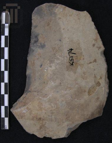 Φολίδα από πυριτόλιθο