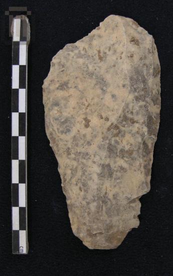 Φολίδα από πυριτόλιθο