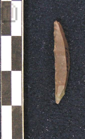 Μικρολεπίδα με ράχη