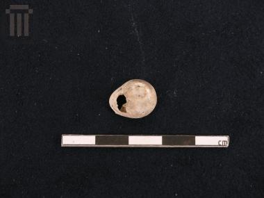 Cyclope shell (bead)