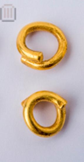 Ζεύγος σφηκωτήρων