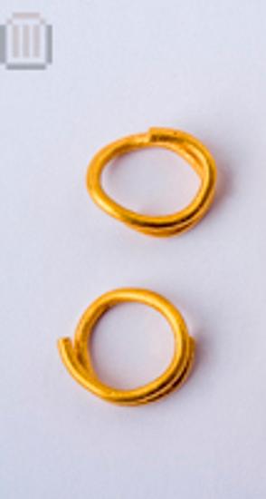 Ζεύγος σφηκωτήρων