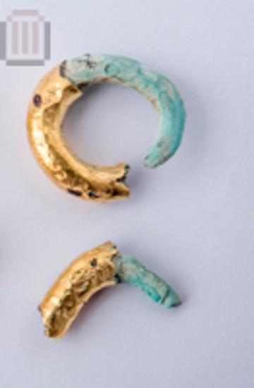 Ζεύγος σφηκωτήρων