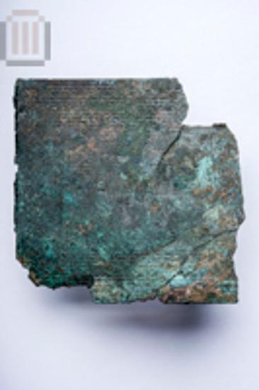 Part of fibula