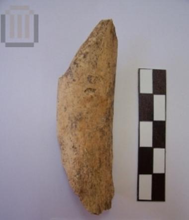 Fragment of a bone percoir