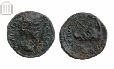 Aelius Caesar, Nicopolis mint