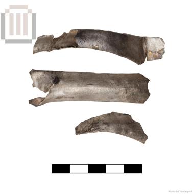 Three oblong silver sheets from the Kalamas River Dam