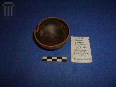 Μόνωτη σκυφοκύλικα