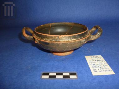 Σκυφοκύλικα