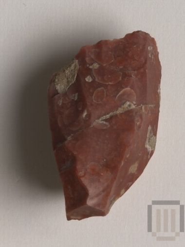 Πυρήνας μικρολεπίδων