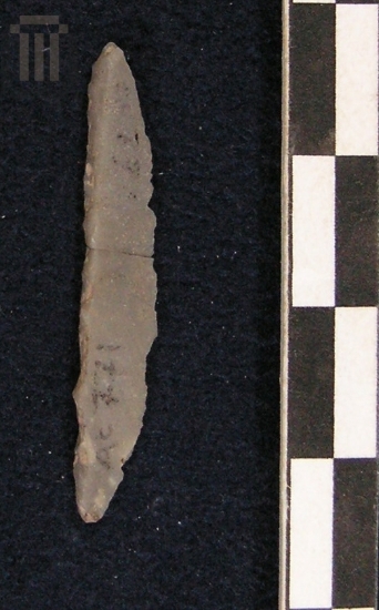 Μικρολεπίδα με ράχη