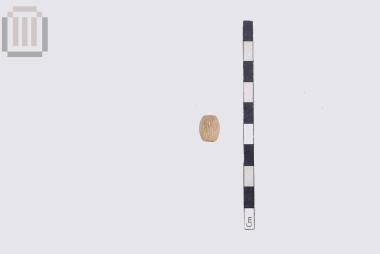 Οστέινη χάντρα από την Ελέα