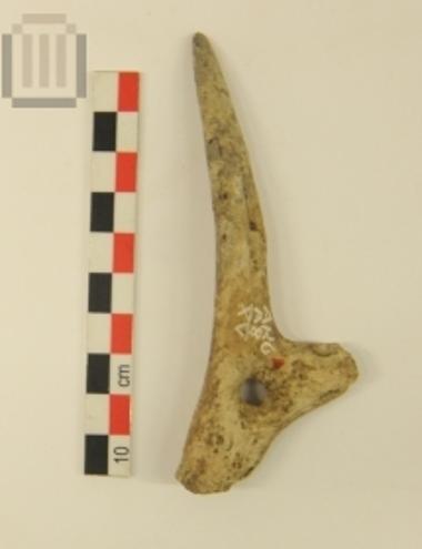 Οστέινο στοιχείο στειλέωσης εργαλείου