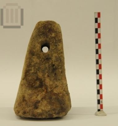 Πυραμιδοειδής αγνύθα