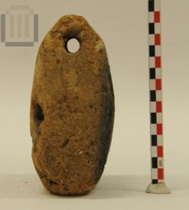 Ωοειδής αγνύθα